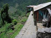 Sinuwa