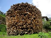 stock de bois