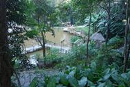 Mae Fah Luang jardins royaux