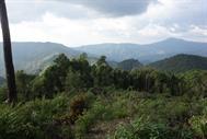 parc national Doi Phuka