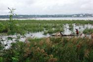 Phayao le lac