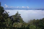 brume au col brume au col