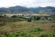 paysage paysage
