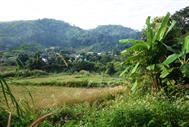 paysage route 1089 paysage route 1089