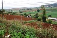 maraichages vers Mae Chaem maraichages vers Mae Chaem