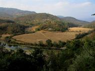 rizières rizières